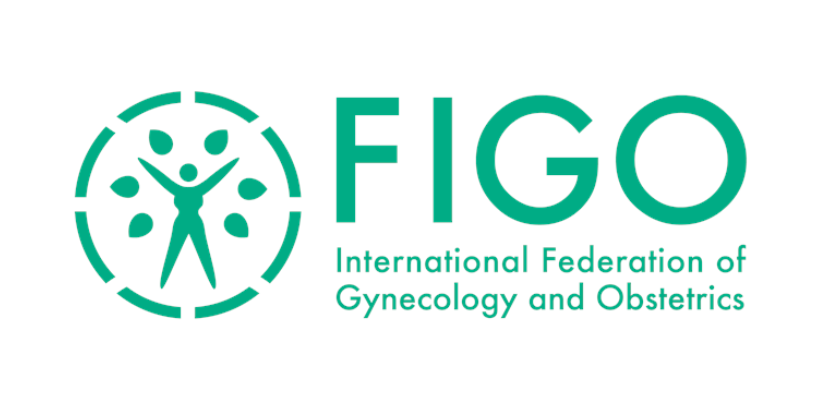 FIGO Divisions and Commissions Update - January 2023
